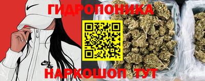 ешки Аша