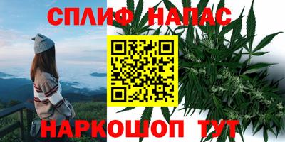 ешки Аша